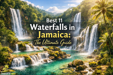 Panoramic view of the best waterfalls in Jamaica featuring turquoise swimming pools and lush tropical rainforest under a clear sunny sky.