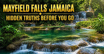 Mayfield Falls Jamaica with cascading waterfalls, river walk, and lush tropical forest showing real travel experience in Westmoreland