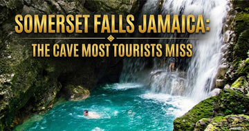 Aerial view of Somerset Falls surrounded by dense tropical jungle in Hope Bay Portland Jamaica. Crystal clear turquoise pools shimmer at the base of the waterfall on Jamaica's northeastern coastline.