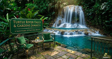  Turtle River Falls & Gardens Visitor Guide 2026 Turtle River Falls and Gardens Jamaica complete visitor guide 2026 covering entry fee opening hours location and travel tips