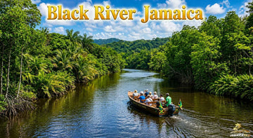 Tour boat carrying visitors cruises along Jamaica’s Black River, surrounded by lush tropical rainforest, calm waters, and scenic landscapes today.