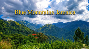 Blue Mountain Jamaica landscape with lush green peaks, tropical foliage, and dramatic clouds beneath a bright sky.