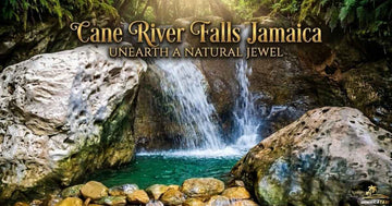Cane River Falls Jamaica surrounded by lush tropical jungle in St. Andrew Parish, with cool natural swimming pools at the base of the cascading waterfall.