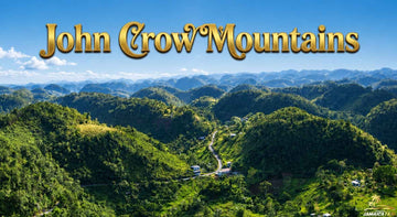 John Crow Mountains in Jamaica with lush green hills, winding roads, distant peaks, and scenic tropical valley views.