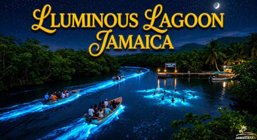 Luminous Lagoon Jamaica glowing blue waters at night, with boats, swimmers, palm trees, stars, and a crescent moon.