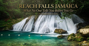 Reach Falls Jamaica: What No One Tells You Before You Go