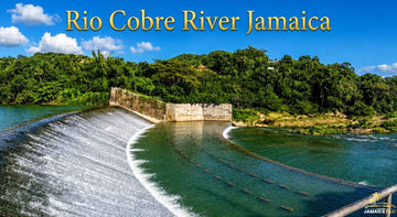 Rio Cobre River Jamaica featuring a scenic dam spillway, flowing water, lush tropical forests, blue skies, and vibrant natural landscape in Jamaica.