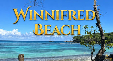 Winnifred Beach with golden title text over a tropical shoreline featuring turquoise water, sandy beach, trees, and blue sky.